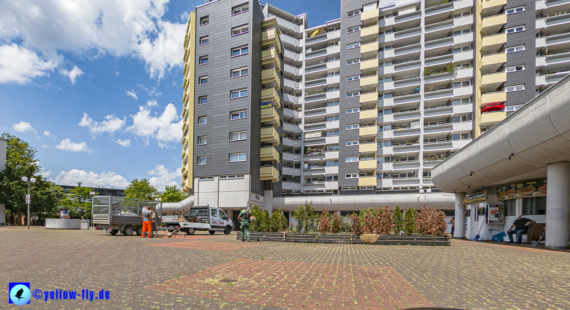 09.06.2023 - Rasenmäher im Marx-Zentrum